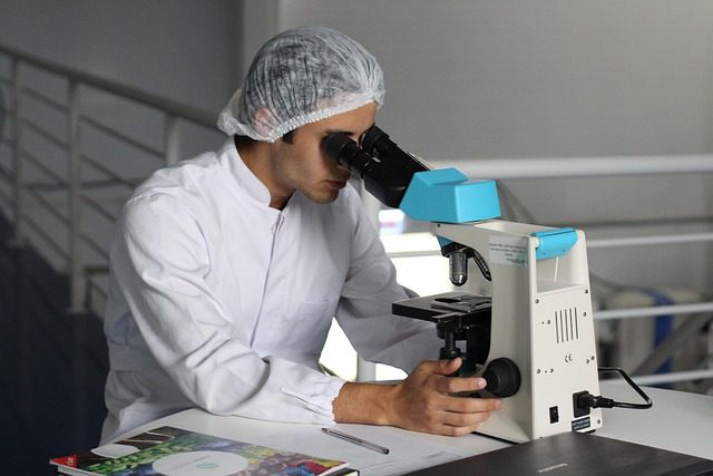 huile ozonée et activité antimicrobienne